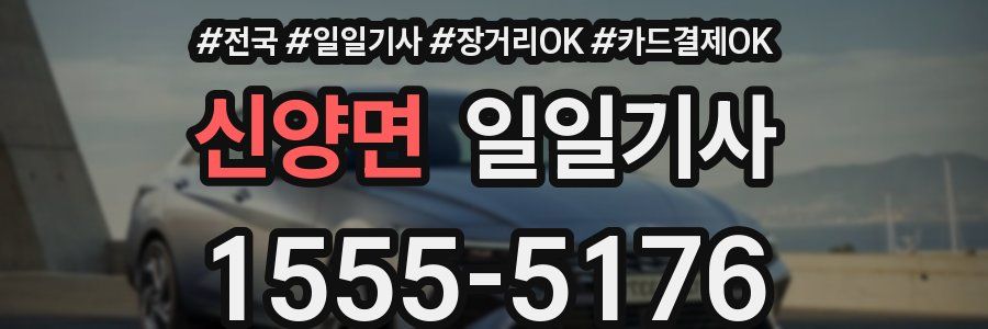 신양면 일일기사