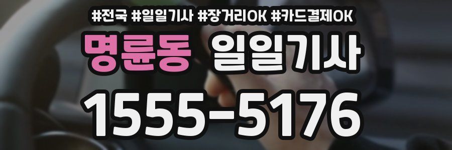 명륜동 일일기사