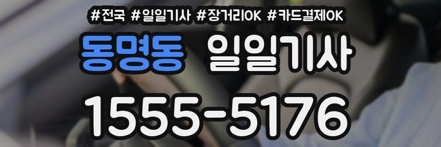 동명동 일일기사