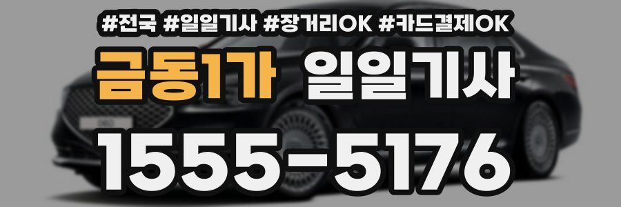 금동1가 일일기사