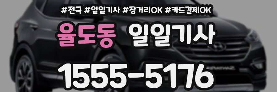 율도동 일일기사