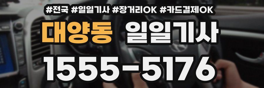 대양동 일일기사