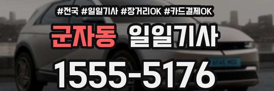 군자동 일일기사