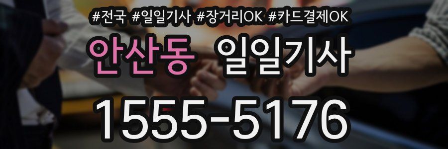 안산동 일일기사