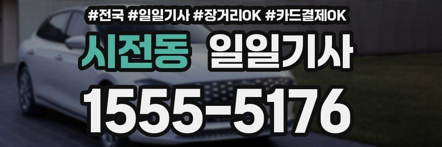 시전동 일일기사