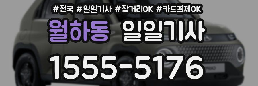 월하동 일일기사
