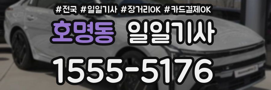 호명동 일일기사