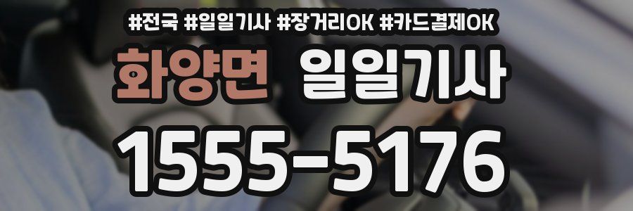 화양면 일일기사