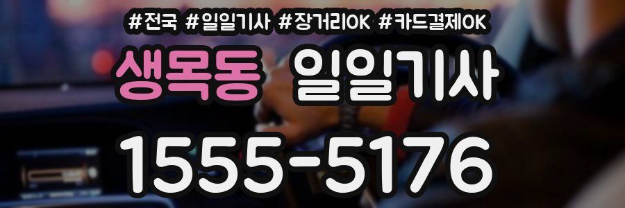 생목동 일일기사