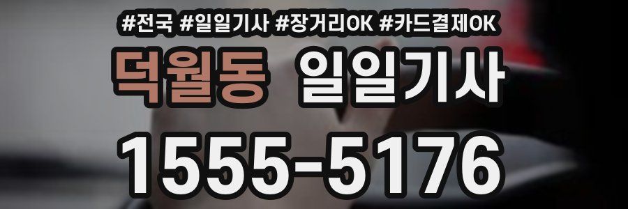 덕월동 일일기사
