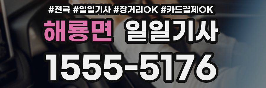 해룡면 일일기사