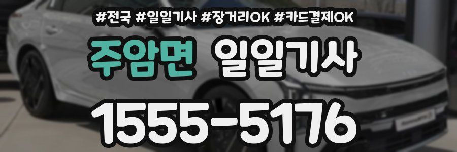 주암면 일일기사