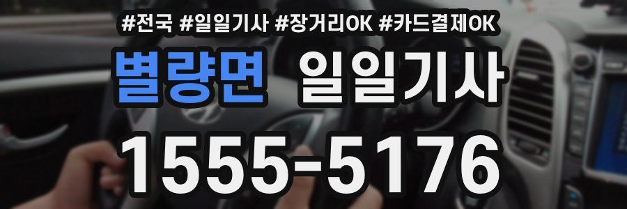 별량면 일일기사