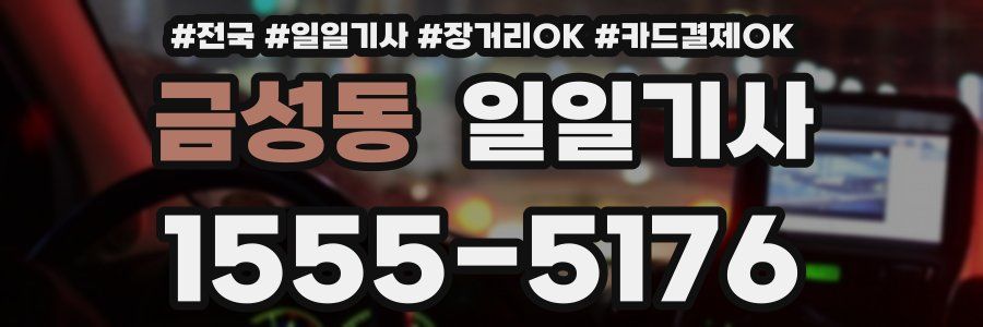 금성동 일일기사