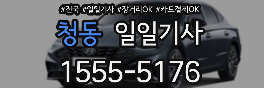 청동 일일기사