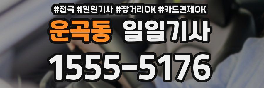 운곡동 일일기사