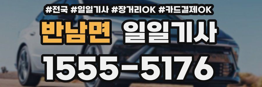 반남면 일일기사