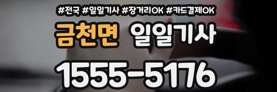 금천면 일일기사