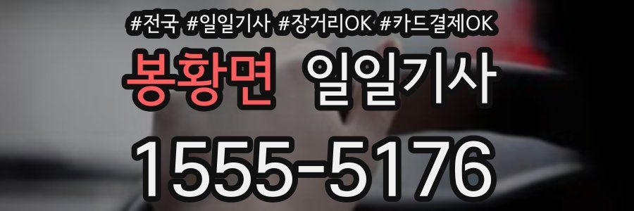 봉황면 일일기사