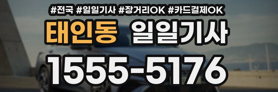 태인동 일일기사