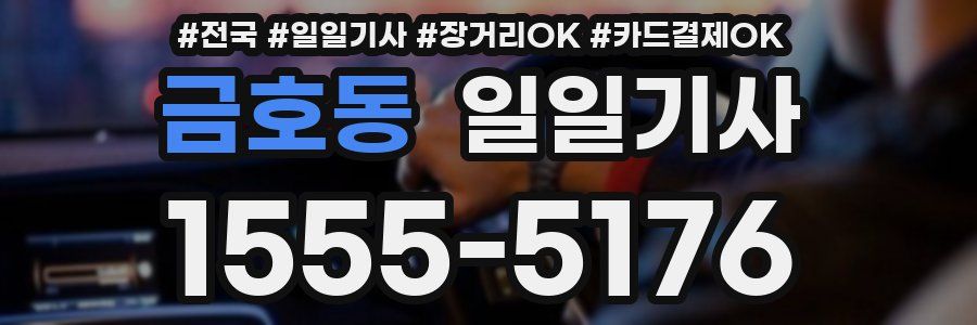 금호동 일일기사