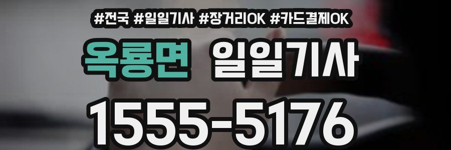 옥룡면 일일기사