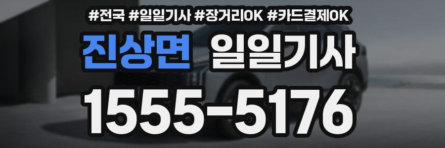 진상면 일일기사