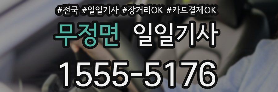 무정면 일일기사