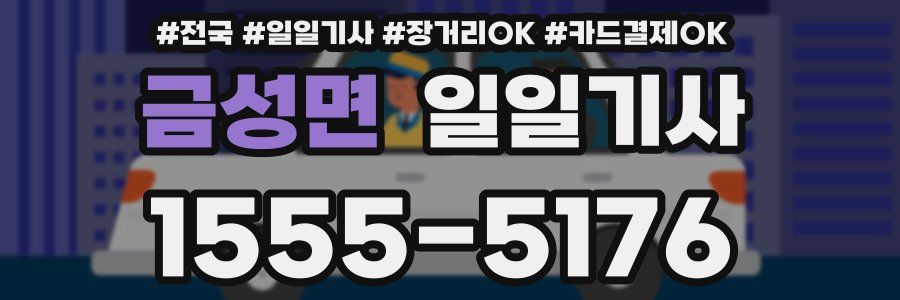 금성면 일일기사