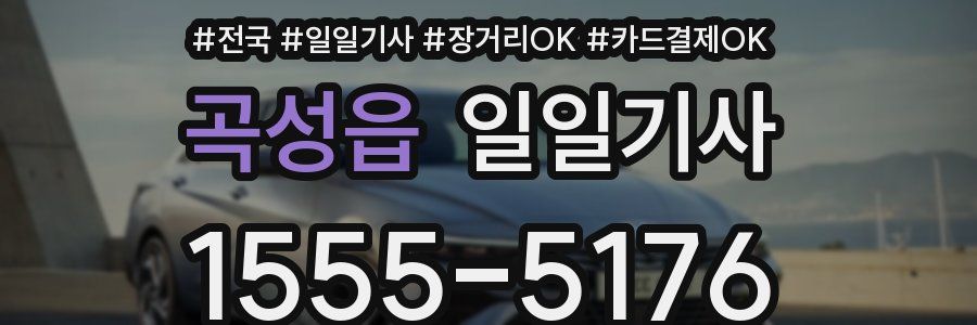 곡성읍 일일기사