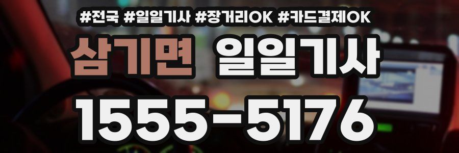 삼기면 일일기사