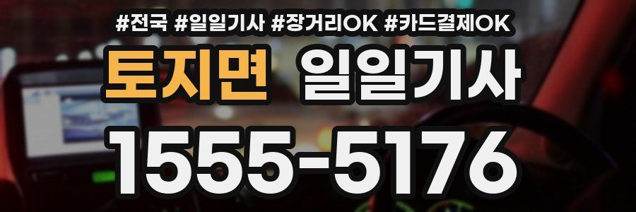 토지면 일일기사