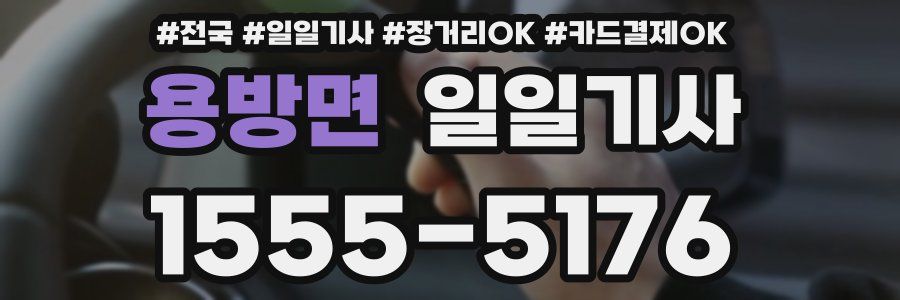 용방면 일일기사