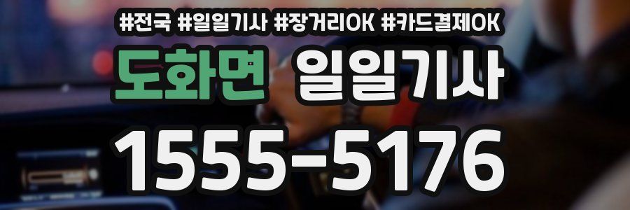 도화면 일일기사