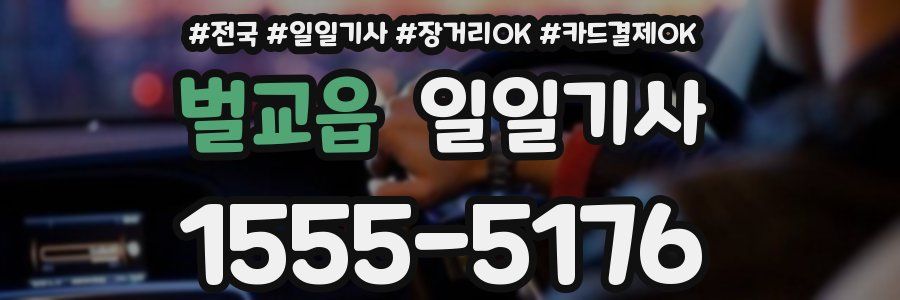 벌교읍 일일기사