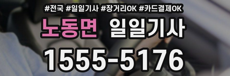 노동면 일일기사