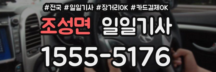 조성면 일일기사