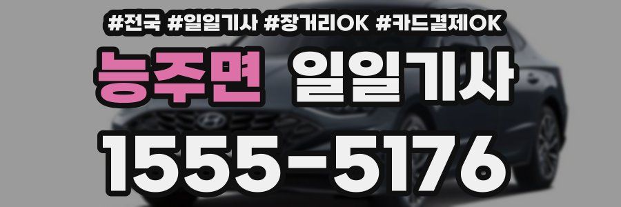 능주면 일일기사