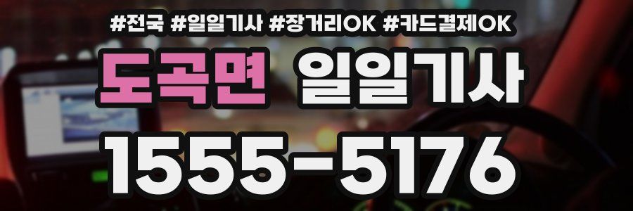 도곡면 일일기사