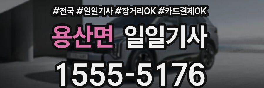 용산면 일일기사