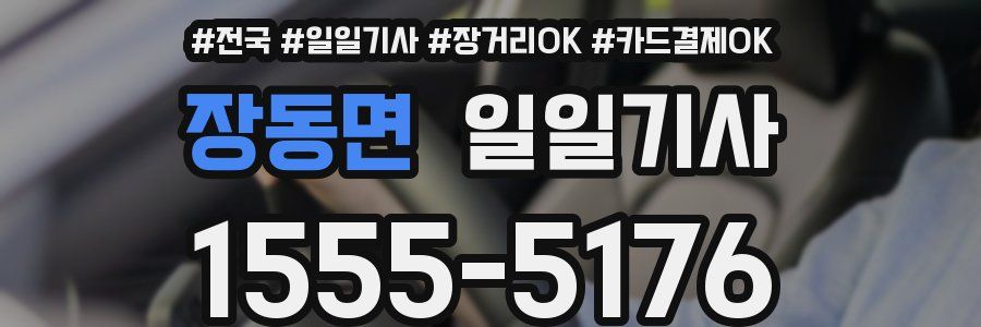 장동면 일일기사