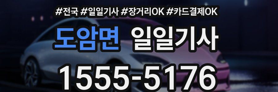 도암면 일일기사