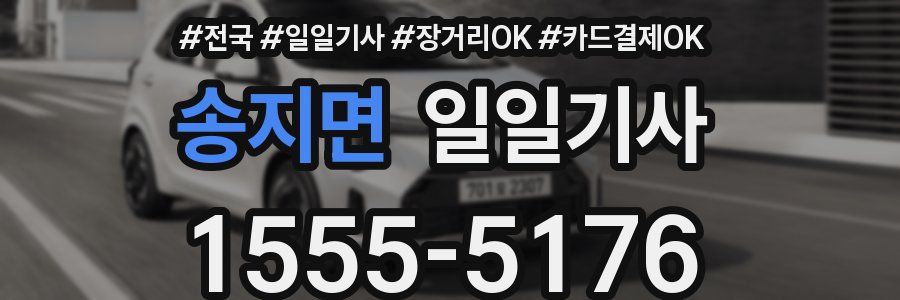 송지면 일일기사