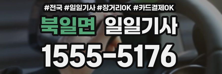 북일면 일일기사