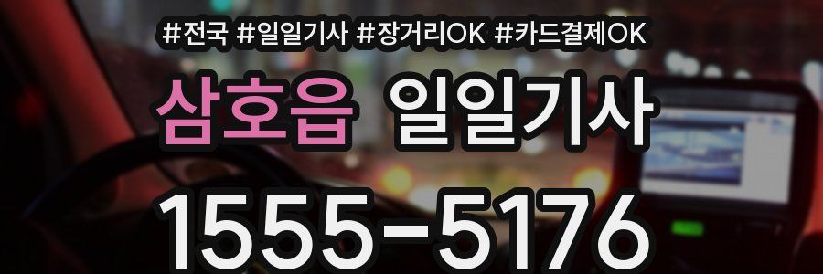 삼호읍 일일기사