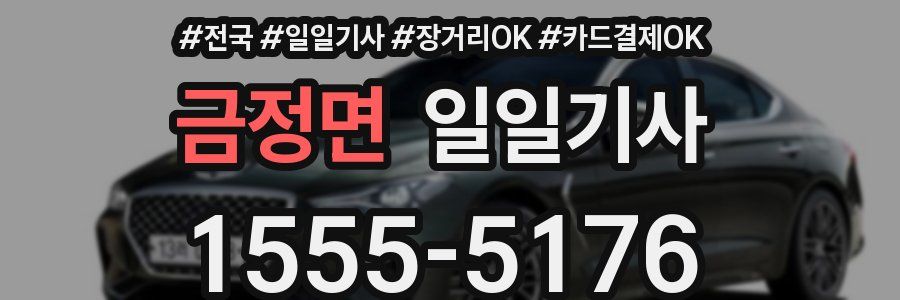 금정면 일일기사