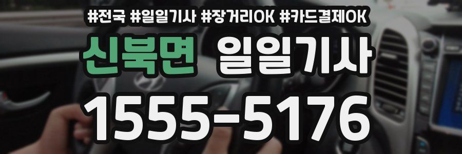 신북면 일일기사