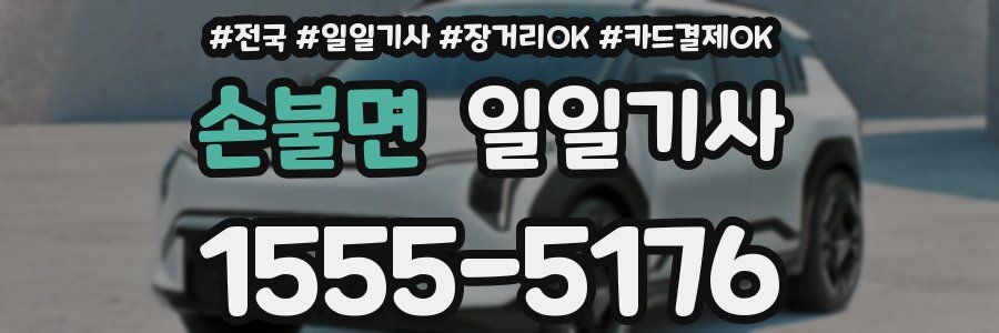 손불면 일일기사