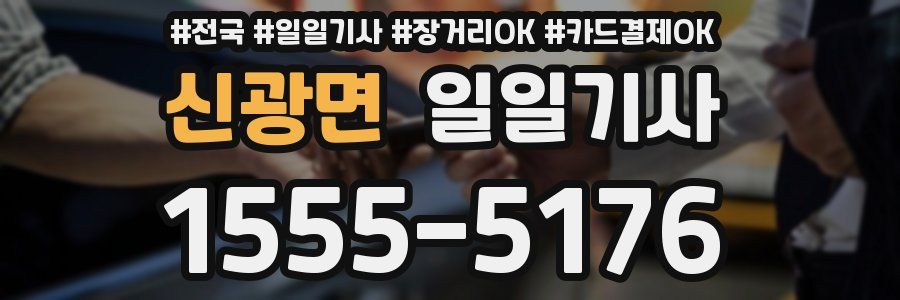 신광면 일일기사