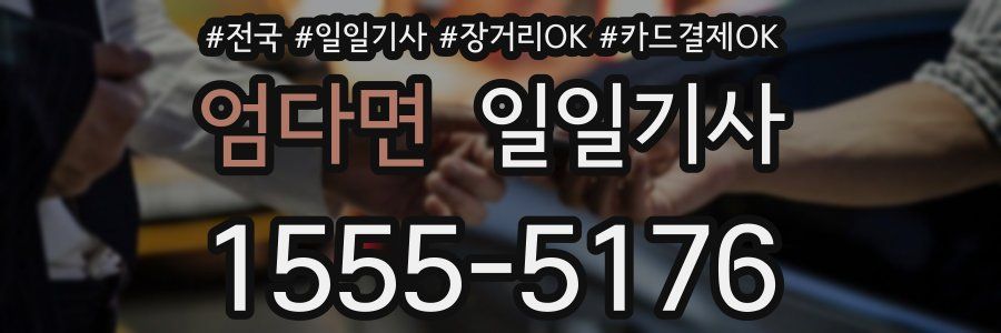 엄다면 일일기사